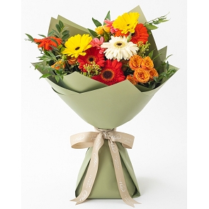 HLB087 NATASHA 彩色非洲菊花束